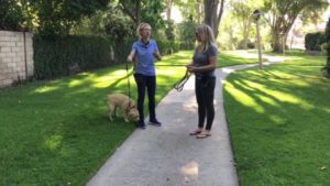 Jennifer speaking with client during lesson