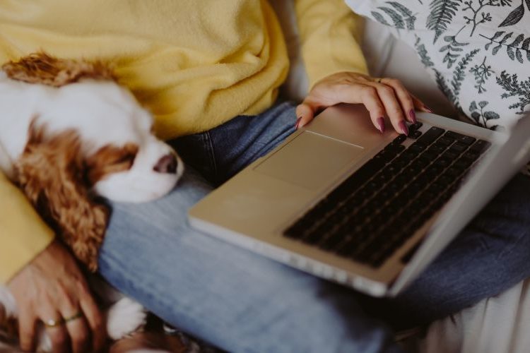 Woman on laptop with sleeping dog