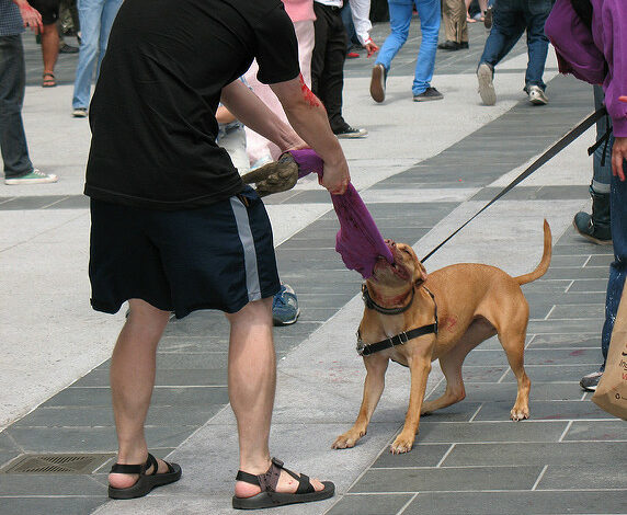 Man tugging object away from dog in public